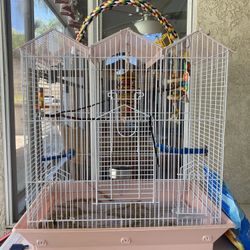 Bird Cage