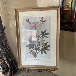 Framed Botanical Print 