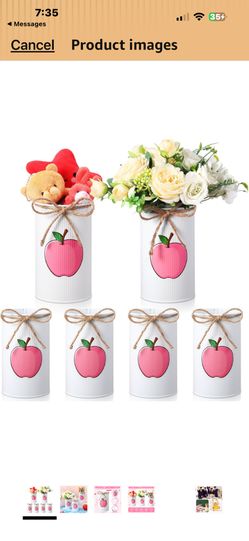 4Pcs Apple Vases Decor Back to School Table Centerpieces Pink Apple Galvanized Metal Vases for Flowers Mason Jars Utensil Pen Holder for Classroom Of