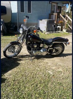 HD1993 springer soft