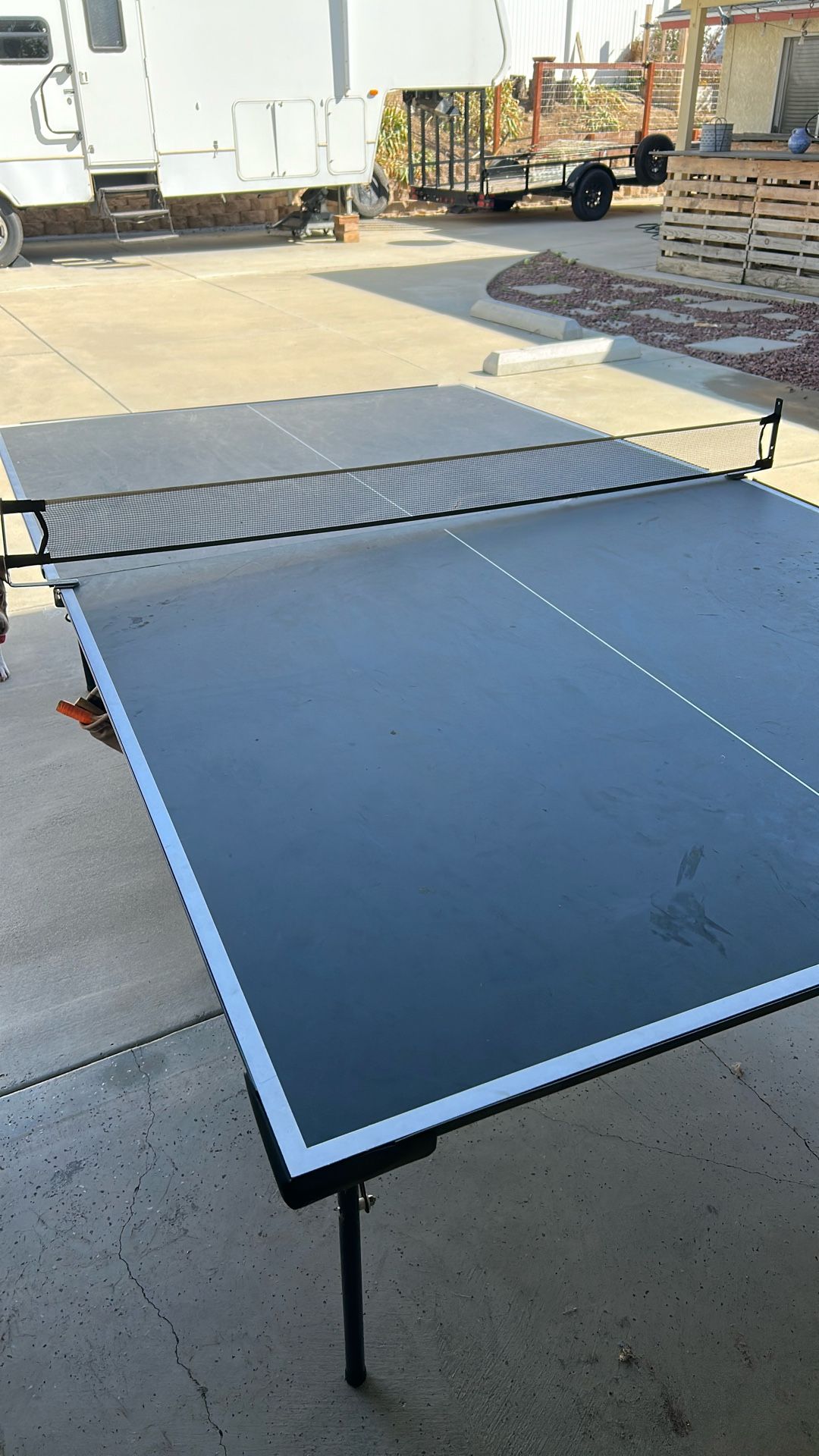 Ping Pong Table