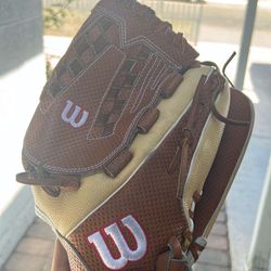 Wilson A2000 Glove