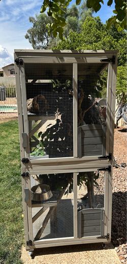 Outdoor Iguana Sun Sanctuary