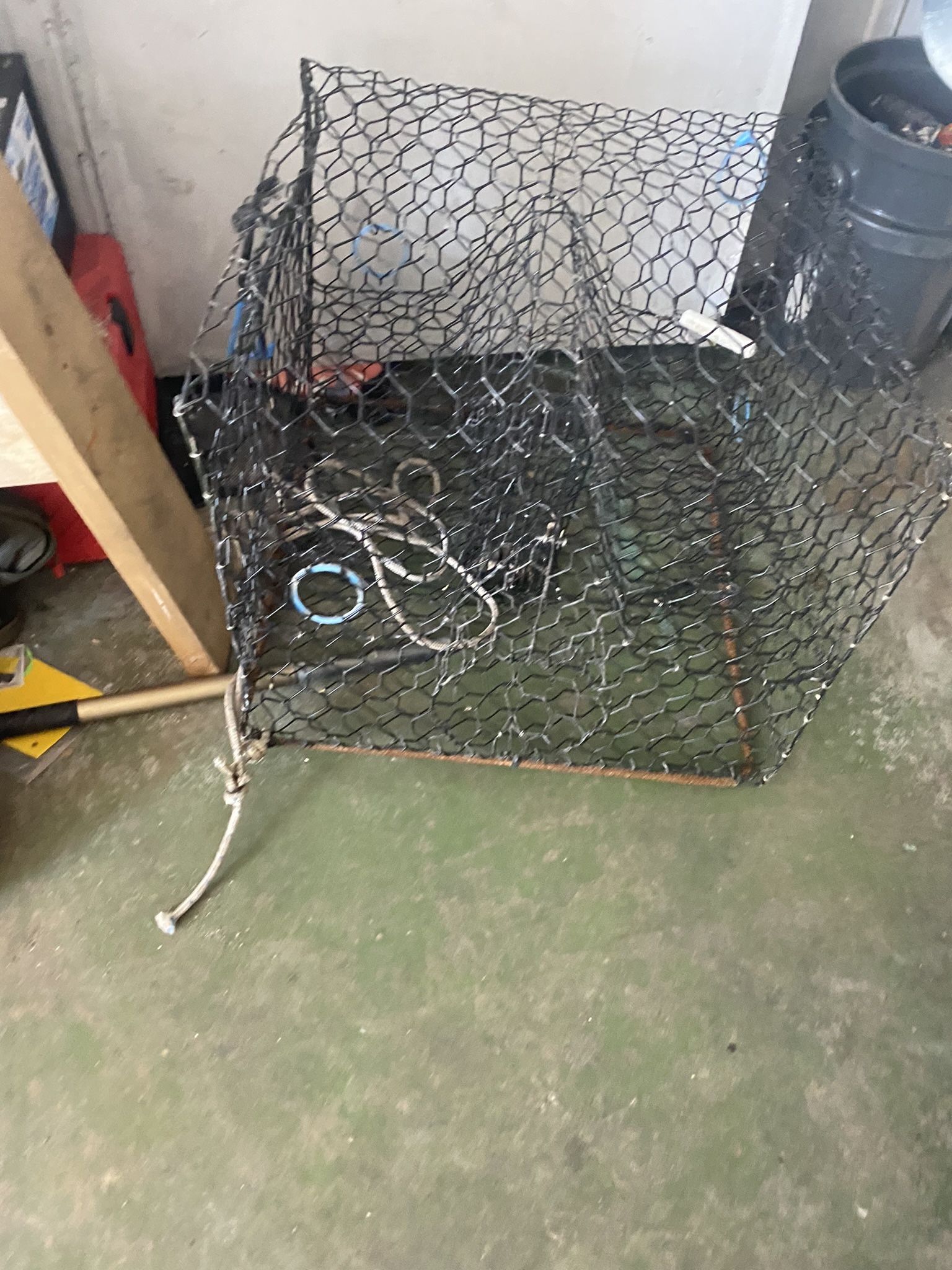 Crab Trap