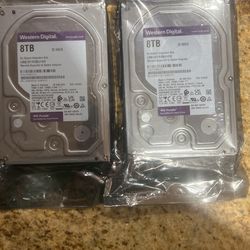 Wester Digital Hard Drive 