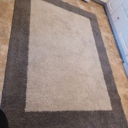 Area Rug