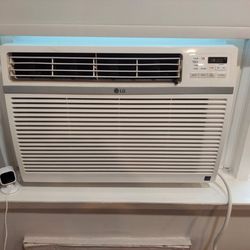 LG LW2521ERSM 24,500 BTU Smart Window Air Conditioner, 