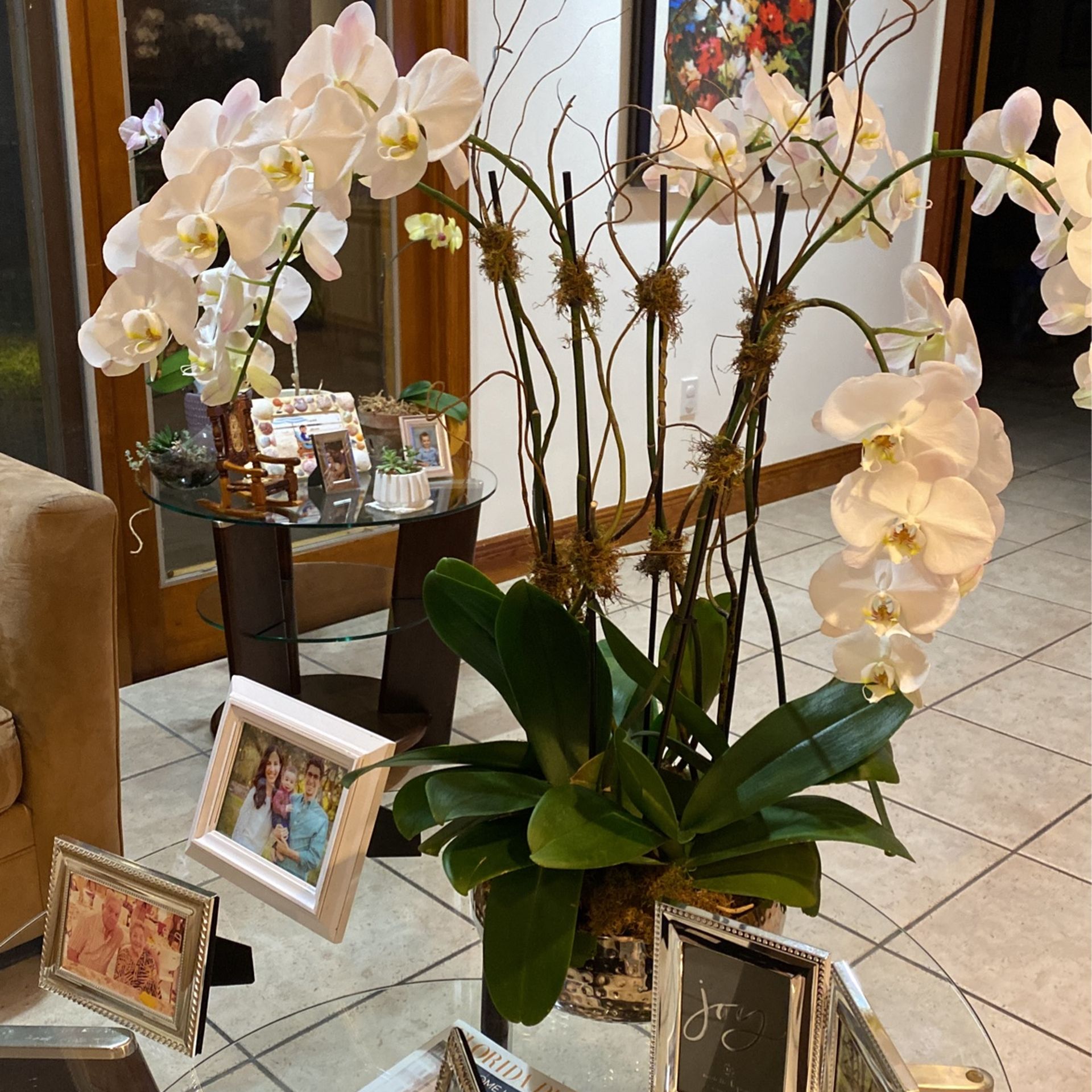 Orchids