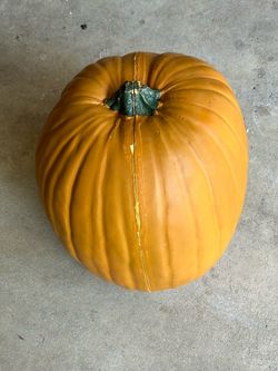 Decorative Faux Pumpkin