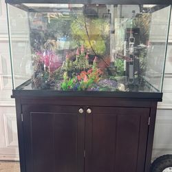 30 gallon aquarium barely used. Filter, new heater and accessories !!!