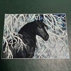 Horse Finished Diamond Art