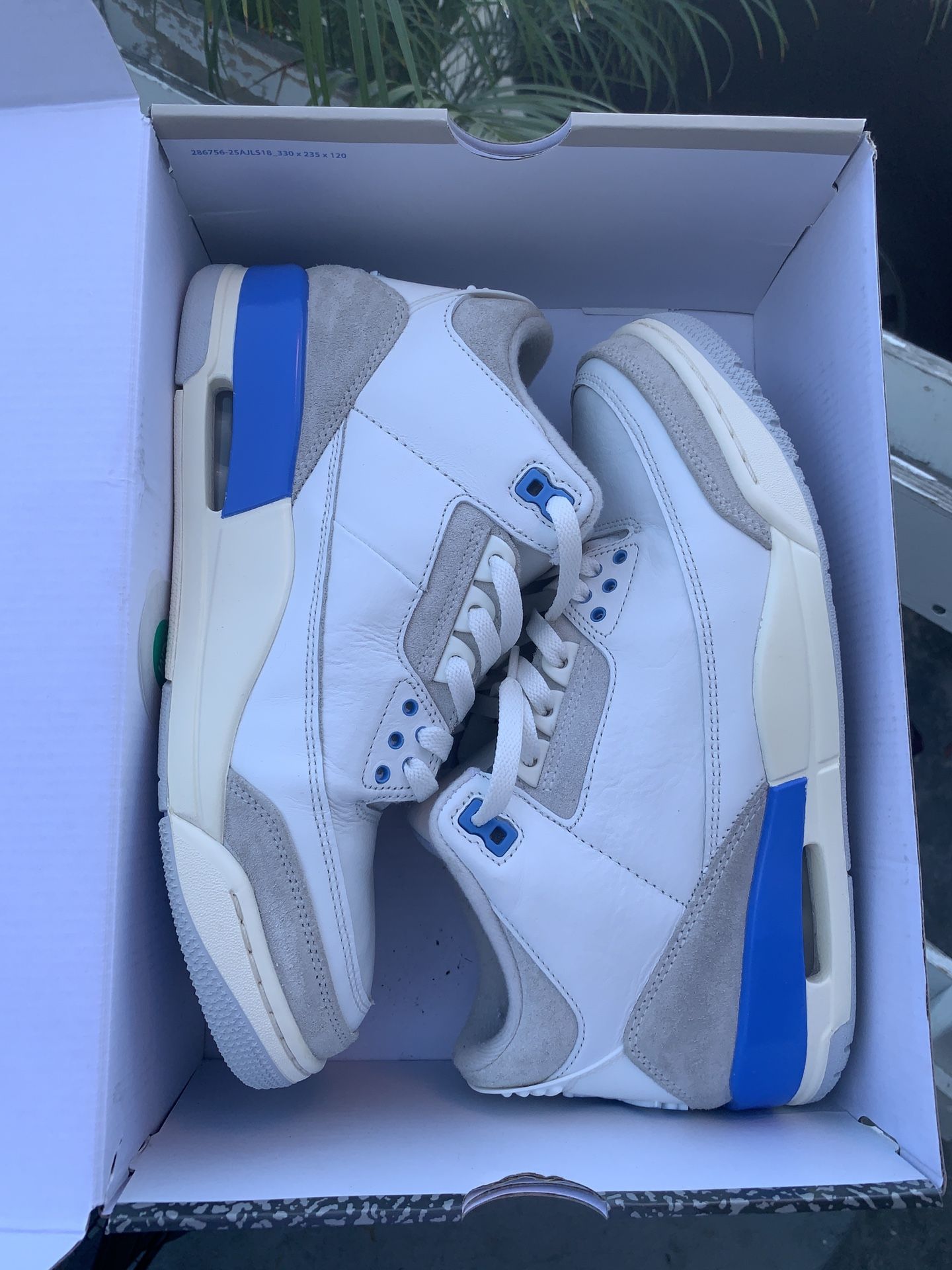 Air Jordan 3s Lucky Shorts