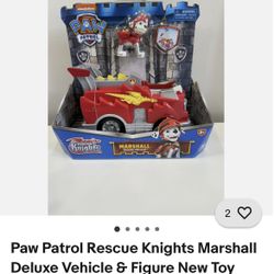 Rescue Knights Paw Patrol 
