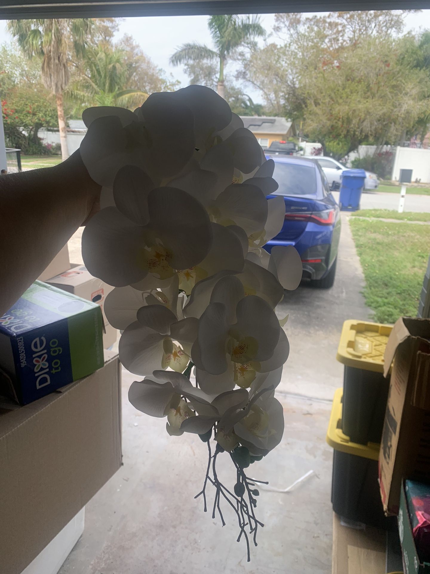 Wedding Decorations