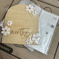 Baby monthly milestones