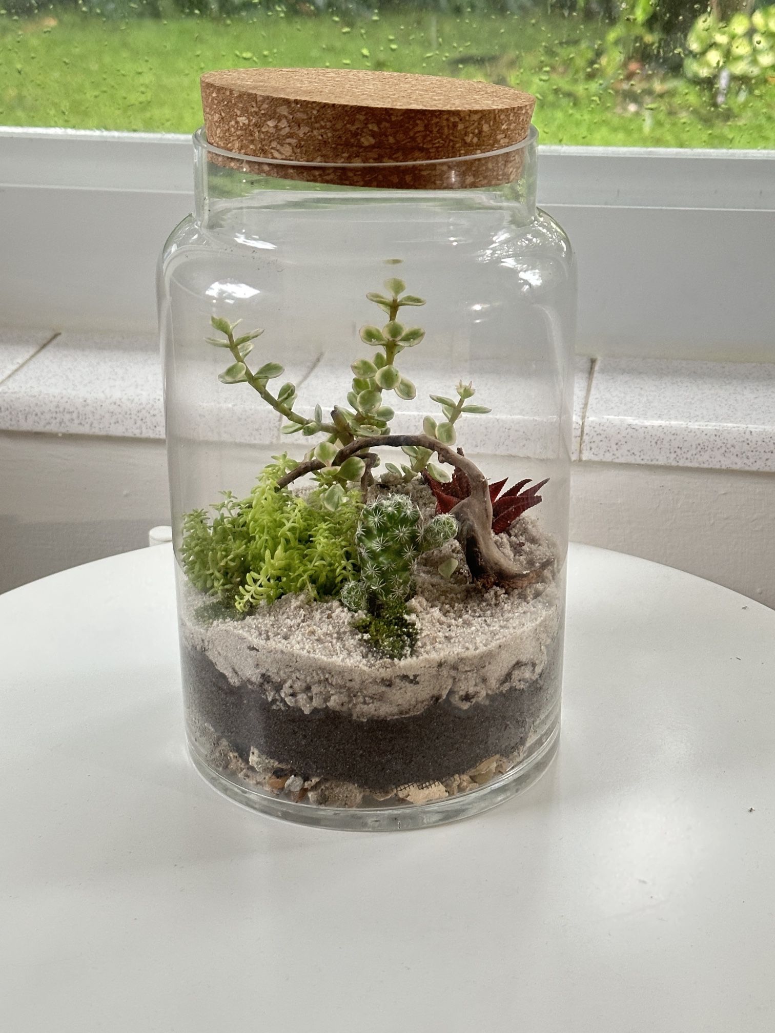 Succulent Terrarium