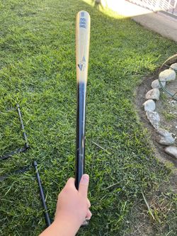 Pinnacle Bbb Bb/sb Wood Bat