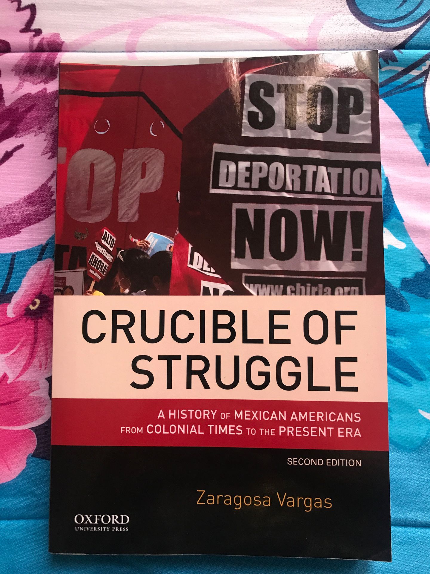 Crucible of Struggle by Zaragosa Vargas 2nd Edition