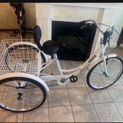 Adult tricycle