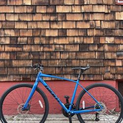 Giant Escape W/Disk Brakes 