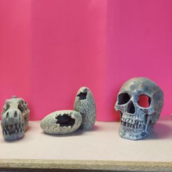 Aquarium Decorations