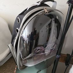 Cat Back Pack With Small Kitten Small Cat Leash 