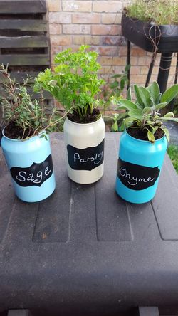 Can planters,custom colors..comes with labels and seeds or you can plant your own herbs or flowers and display