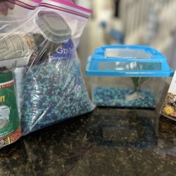 Pet Supplies 