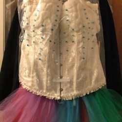 Rainbow  Festival Costume 