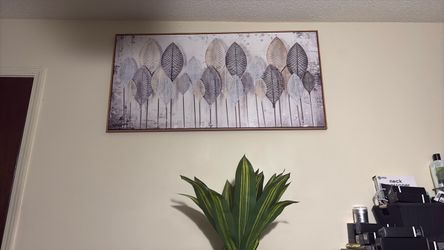 Framed canvas
