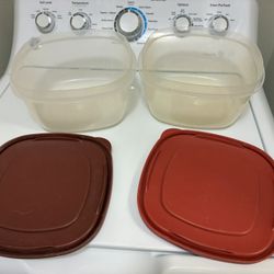 2 Large Plastic Containers 