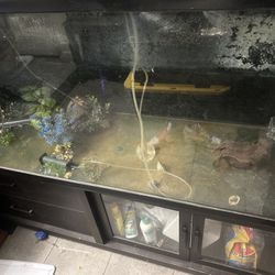 Fish Tank 125 gallons $400 or shoot me a better offer