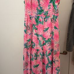 Lilly Pulitzer Long Dress Size 2 