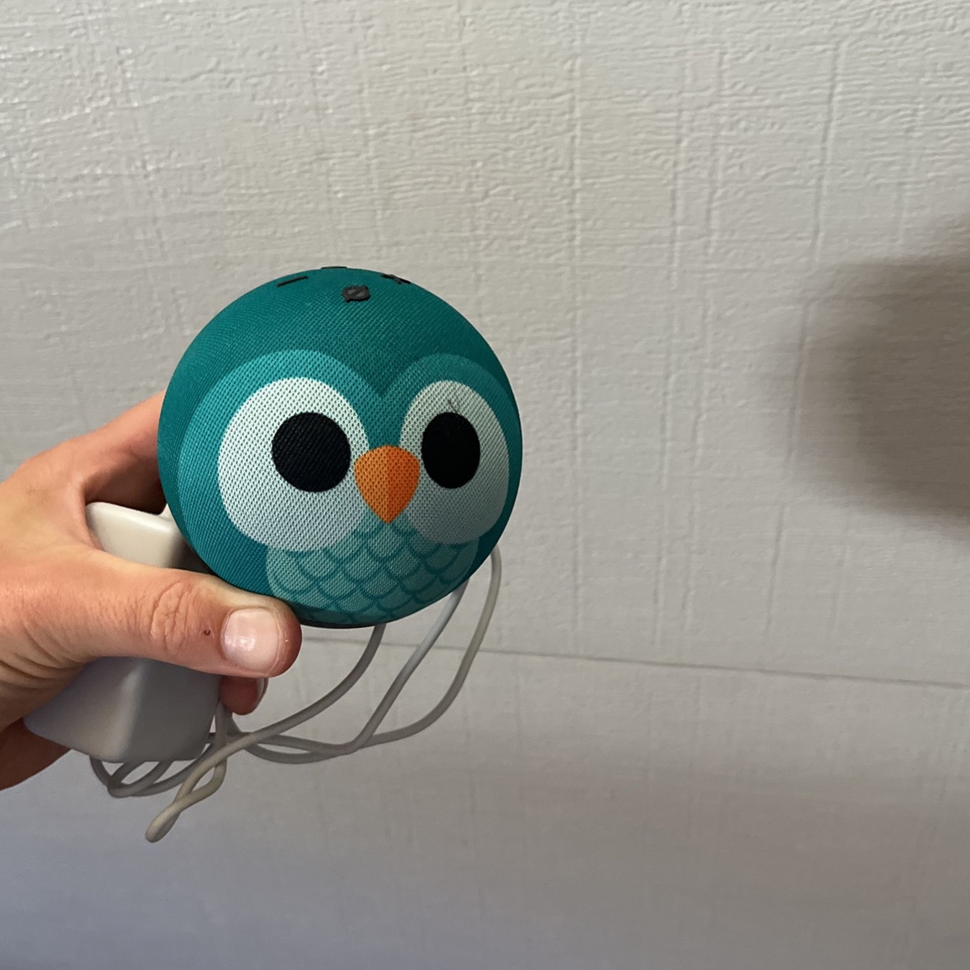 Amazon Echo Dot