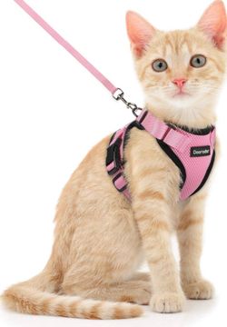 Cat Harness