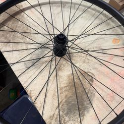 29” DT Swiss Front Wheel 