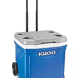 Igloo Ice Cube Cooler