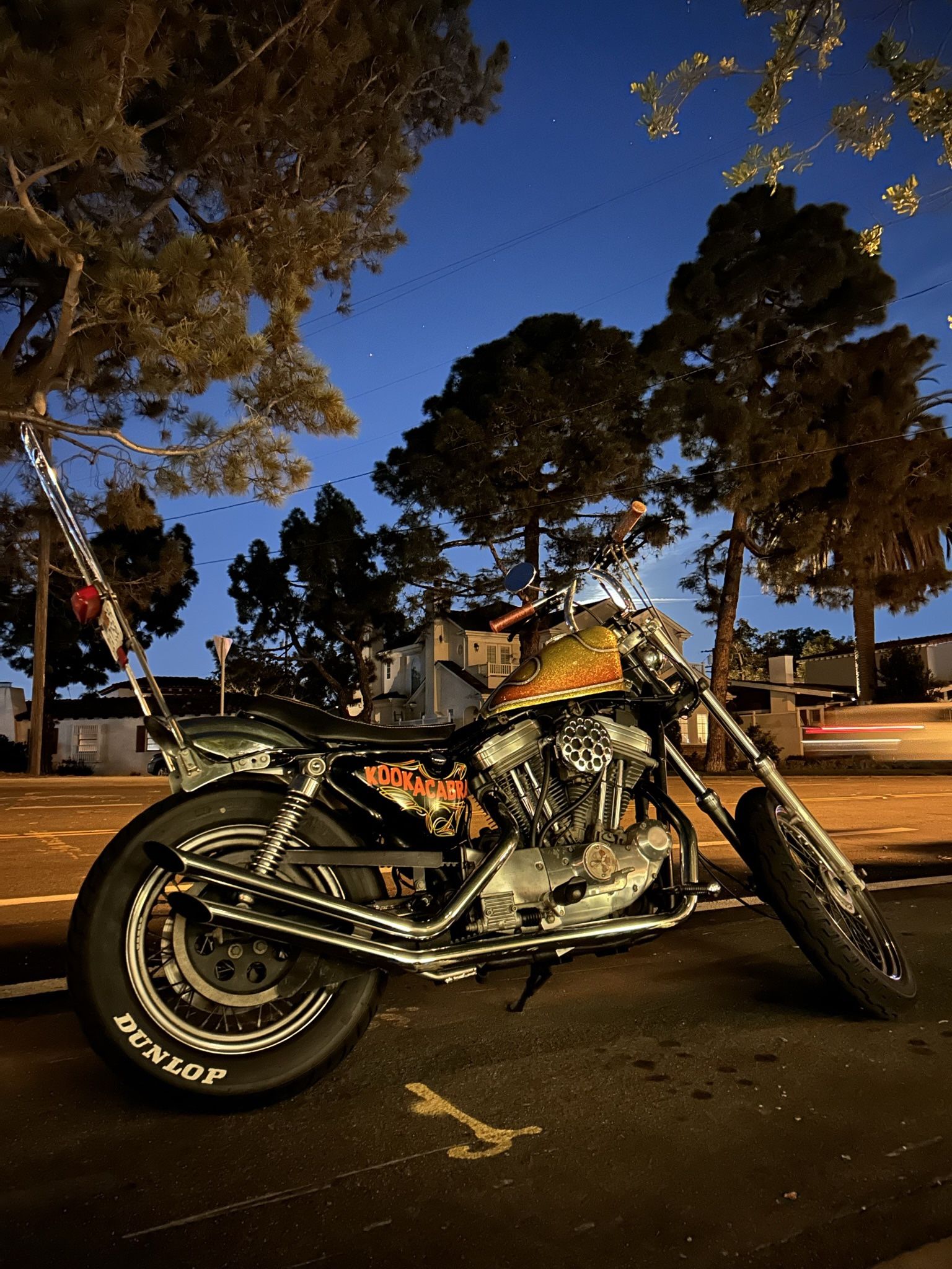 Harley Davison XL1200 Custom