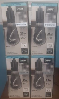BRAND NEW Feit Electric 25-Watt ST19 Dimmable LED Light Bulb