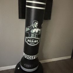 Standing Punching Bag 