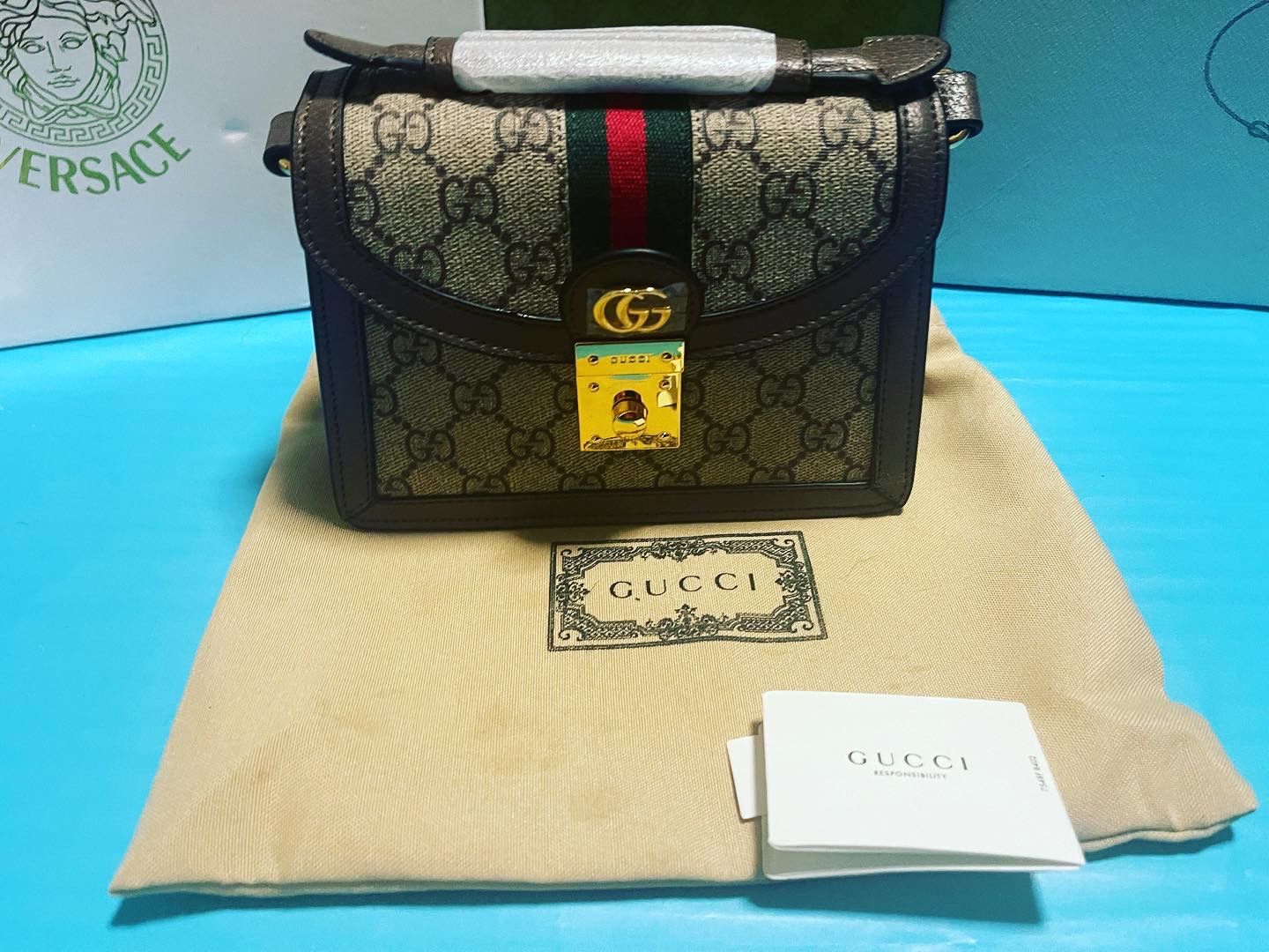 Gucci Ophidia small Top Handle Bag.