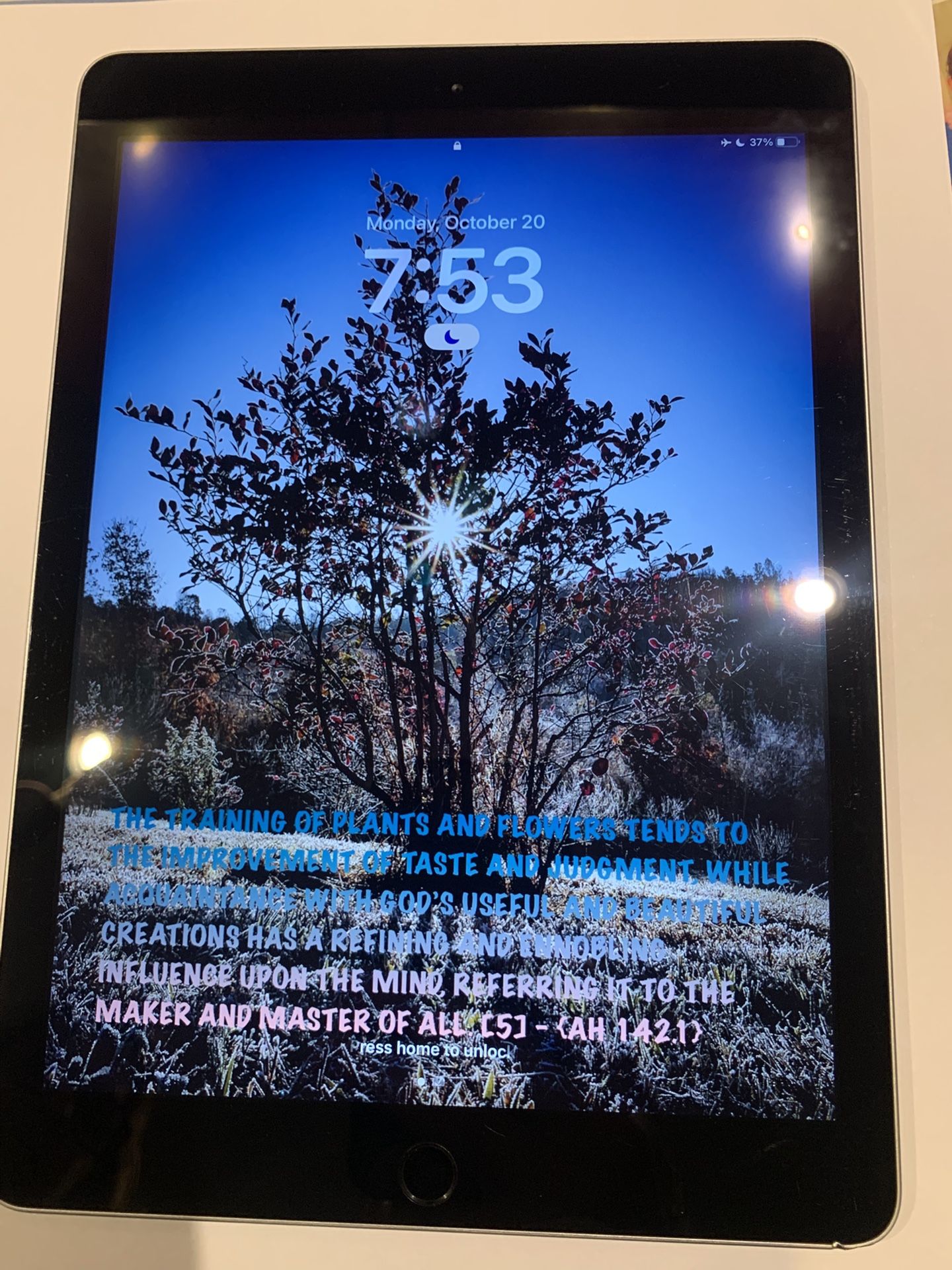 iPad 5th Gen. WiFi 128gb