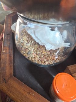 Fish supplies