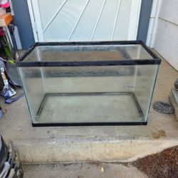 10 gallon Tank
