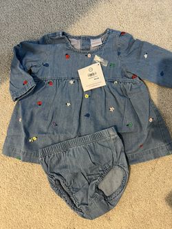 Baby Girl’s Hanna Andersson Dress size 6-12 months