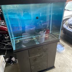 50 Gallon Fish Tank And Stand 