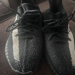 Yeezy 350 
