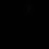 Lv Lv