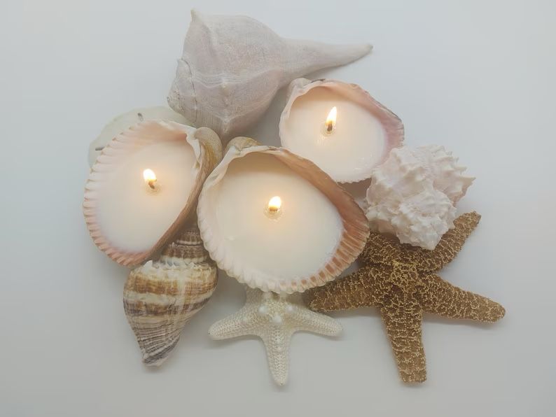 Handmade Seashell Soy Candles