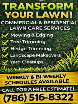 Lawn & yard